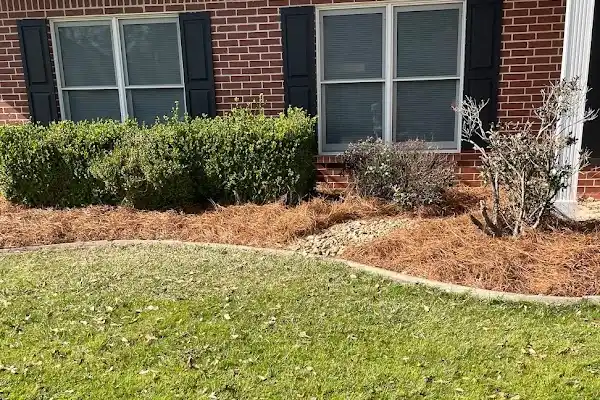 Professional Landscape Services