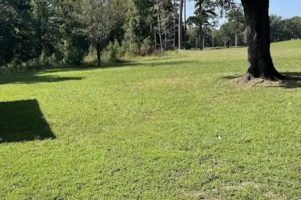 Professional Landscape Services