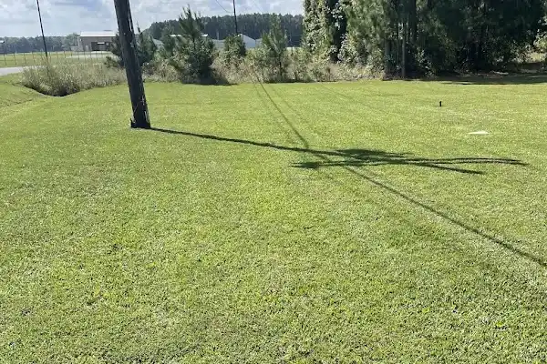 Professional Landscape Services