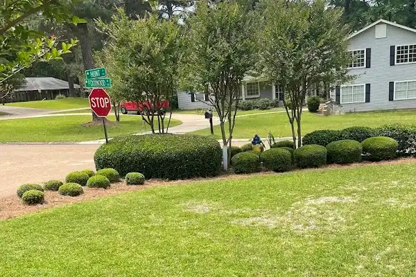 Professional Landscape Services