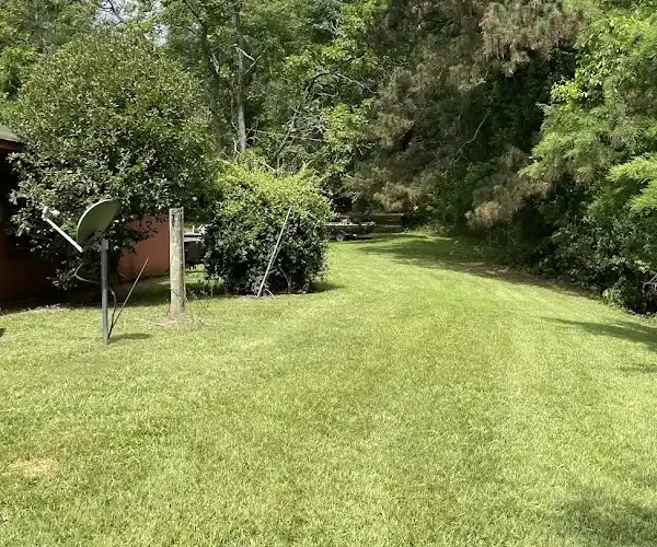 Professional Landscape Services