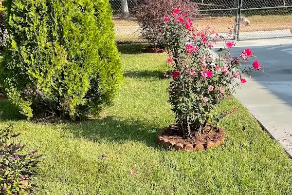 Professional Landscape Services