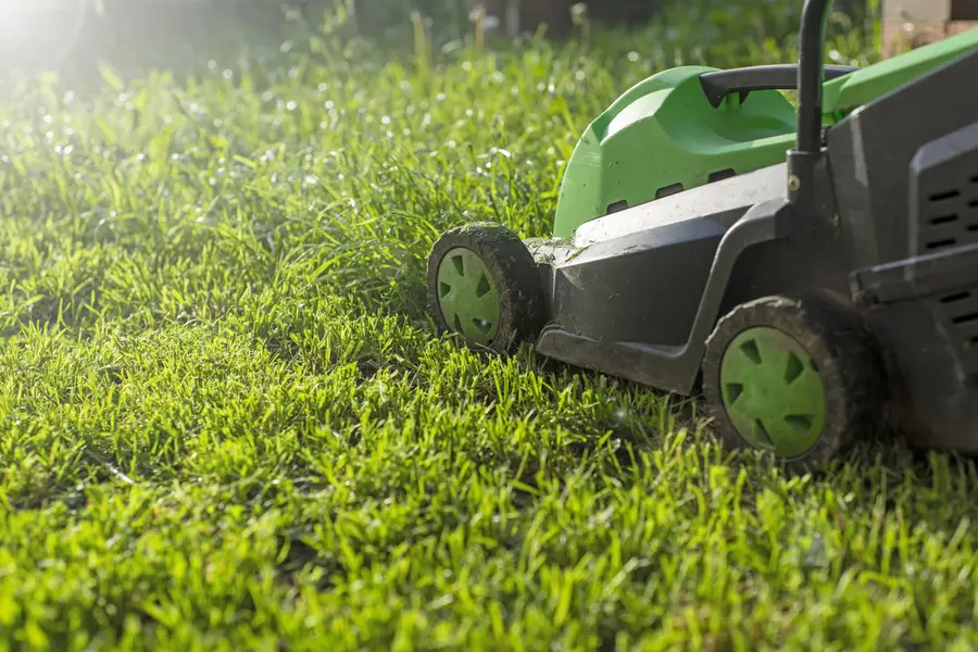 Excellent Lawn Mowing Services Downsville LA Excellent Lawn Mowing Services Downsville LA