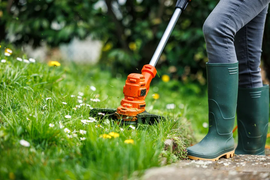 Local Lawn Care Services Downsville LA Local Lawn Care Services Downsville LA