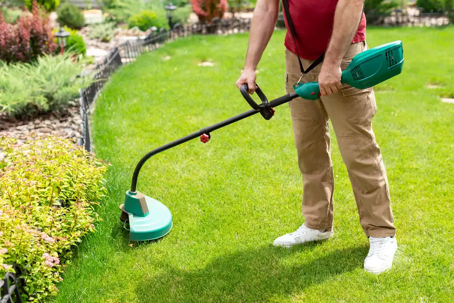 Premium Lawn Care Services Downsville LA Premium Lawn Care Services Downsville LA